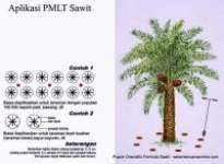 Pupuk Formula Sawit ( Palm Oil Fertilizer)