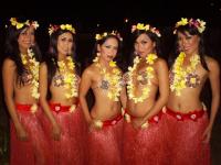 Dance & Entertainment : Hawaian dance ( Hula Dance)