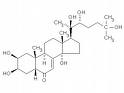 Beta-Ecdysone (20-Hydroxyecdysone) (huping@nutra-max.com)