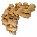 Ginger Extract (huping@nutra-max.com)