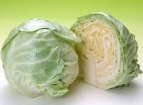 kol putih/ cabbage