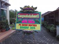 Congratulations 001