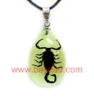 Supply Real Insect Amber Necklace ( crafts,  gifts,  souvenir ,  novelties,  gift promotion)