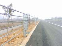 Steel wire rope barrier