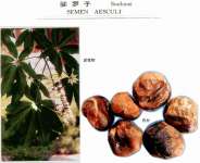 Horse chestnut P.E.;Aescin20% UV;escin20% ;herb extract