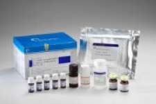 Salbutamol ELISA Diagnostic Kit