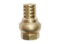 brass foot valve