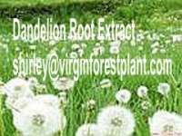 Dandelion Root Extract