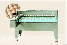 egg grading machine MT-108