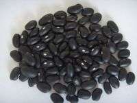 Black kidney beans ( 2010 Crop)