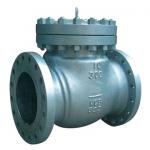 Swing Check Valve