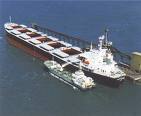 MFO, MGO for Bunkering And shipp Agencies