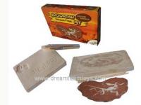 Dinosaur Fossil toys