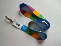 Lanyard