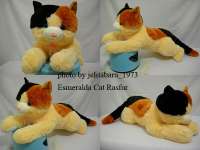 A.1.50. Boneka Kucing Esmeralda Rasfur XL.