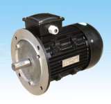 Ac motor -MS three phase induction motor