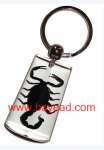 real insect amber keychains,  bug keyring,  so cool novel gift