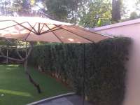 pool,  garden umbrella