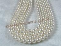 www.cnepearls.com wholesale 7-7.5mm AAA+ White chinese Cultured Akoya Pearl strands