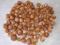 Soap nuts , Soap nut Shells, Wash nuts, waschnüsse