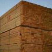 Jual Kayu Kamper Medan