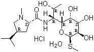 Lincomycin Hcl