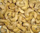 tropical cashew nut