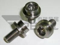 titanium crank bolt