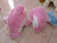 Dolphin all size harga mulail Rp 15.000 sd Rp 75.000