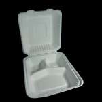 biodegradable disposable dinner box / food box