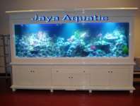 Aquarium Ikan Laut