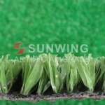 Artificial Grass / Turf