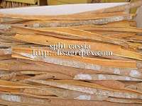 split cassia-good quality