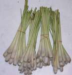 Buy organic lemon grass and its products from SUNRISE AGRILAND( India)