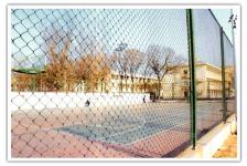 fencing wire mesh