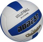 sell volleyball