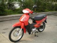 SELL AIR COOLING CUB MOTORCYCLE( VS110-10)
