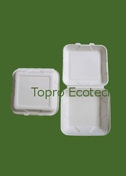 biodegradable tableware, bagasse tableware, sugar cane pulp tableware, disposable tableware, paper tableware, take away box, disposable tableware, biodegradable food container