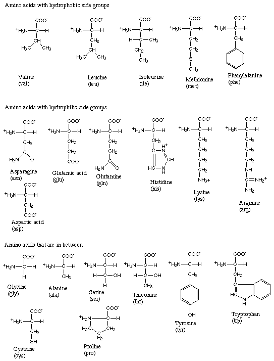 D-ÃÂ¿Â°Â±ÃÃ¡ D-Serine L-Citrulline L-Â¹ÃÂ°Â±ÃÃ¡ L-Serine L-ÃÂ¿Â°Â±ÃÃ¡ L-Histidine L-ÃÃ©Â°Â±ÃÃ¡ D-Leucine  D-ÃÃÂ°Â±ÃÃ¡