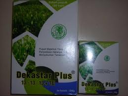 DEKASTAR 18-9-10 100 GR