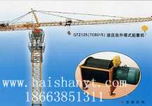 QTZ125twoer crane