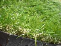 synthetic grass For Garden