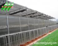 Polycarbonate Hothouse