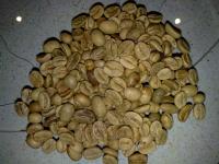 Coffee Timor Leste Arabica