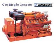 Gas Genset Guascor