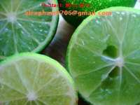 fresh and frozen lime/ fresh fruit/ green lime/ lime/ rambutan/ dragon fruit/ sweet potato