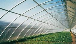 polycarbonate sheet for greenhouse