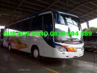 Bus Besar ( bus pariwisata / bus AKAP)