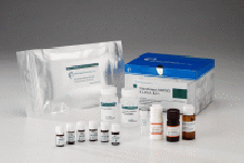 Nitrofuran ( AMOZ) ELISA Diagnostic Kit