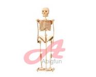 3D puzzle Skeleton - wooden toy